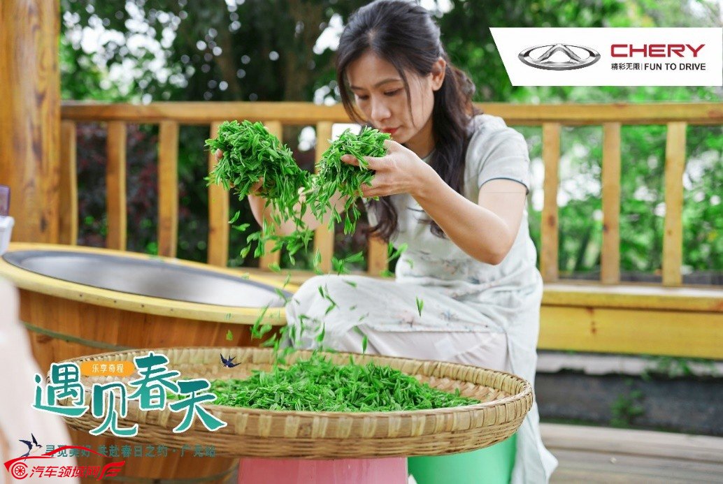 乐享奇程 | 花艺美学季，在田野花间，享受美好旅途