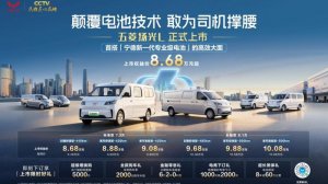 五菱扬光L正式上市 权益价8.68万起重构城配轻客新标杆